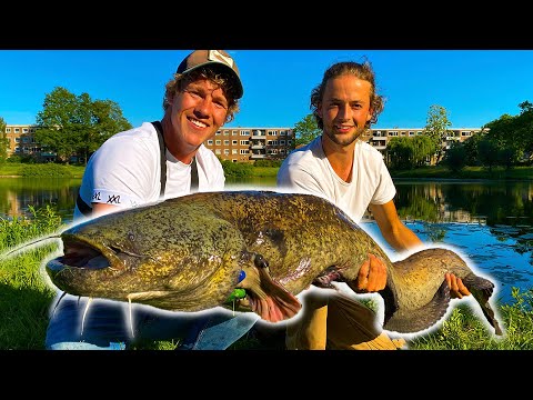 TWEE REUZEN MEERVALLEN MIDDEN IN DE STAD! (VIS GROTER DAN IK)