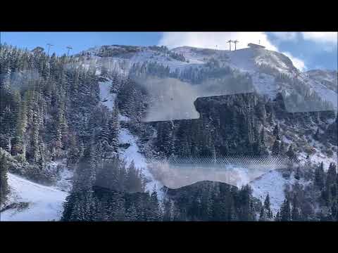 FLUMSERBERG, Seilbahn Unterterzen-FlumsTannenboden - Maschgenchamm.
