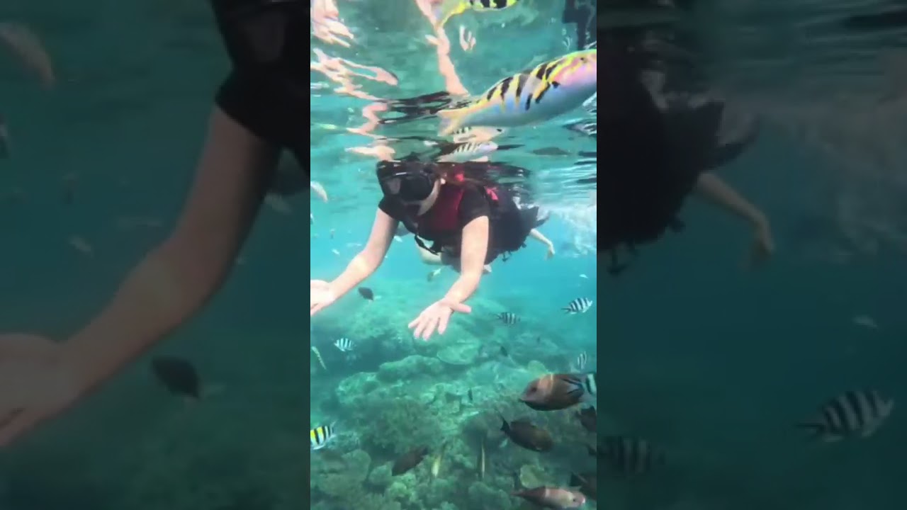 YouTube Short thumbnail