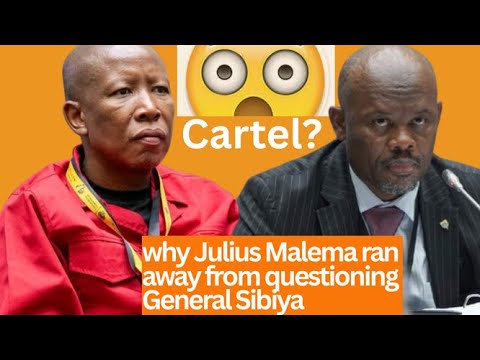 Julius Malema bei der Madlanga-Kommission entlarvt
