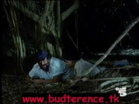 Chi trova un amico trova un tesoro - Circospezione