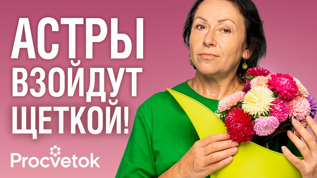 НЕ СЕЙТЕ АСТРЫ, ПОКА НЕ УЗНАЕТЕ ЭТИ ХИТРОСТИ! Важные нюансы, от которых зависит цветение