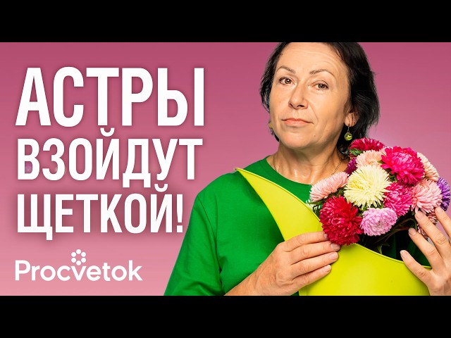 НЕ СЕЙТЕ АСТРЫ, ПОКА НЕ УЗНАЕТЕ ЭТИ ХИТРОСТИ! Важные нюансы, от которых зависит цветение