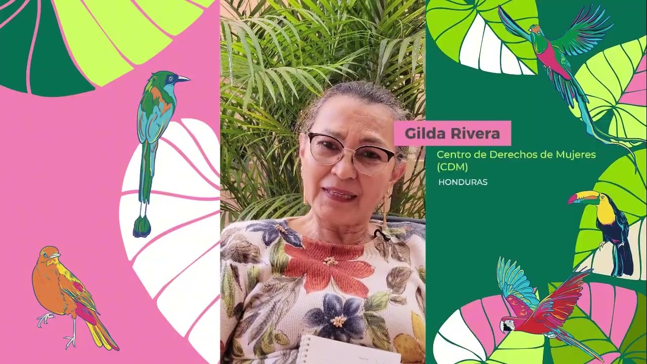 cdm   honduras