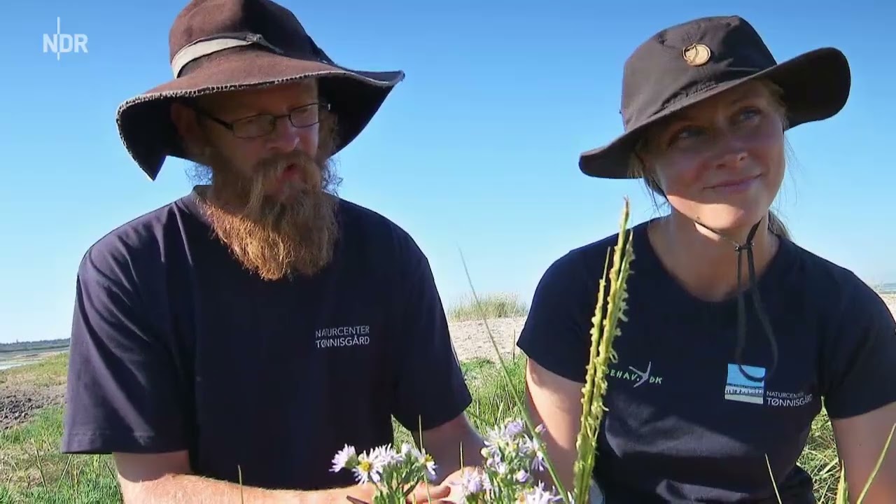 Land zwischen den Meeren 1 - 4 Dänemarks Nordseeküste