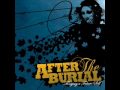 After The Burial - A Steady Decline