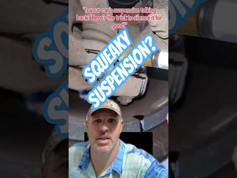 SQUEAKY Suspension Hack!   #mechanic #tools #cars