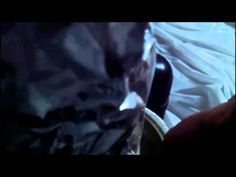 YouTube video about: Can bed bugs crawl on plastic garbage bags?