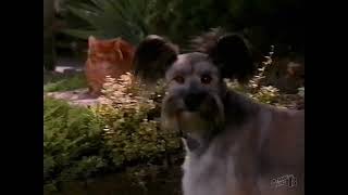 1993 Mazda MPV Minivan Commercial