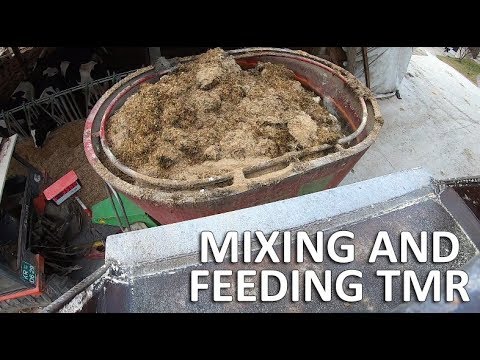 Mixing feed and feeding total mixed ration (TMR) for dairy cows