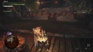 モンスターハンターワイルズ　配信する１