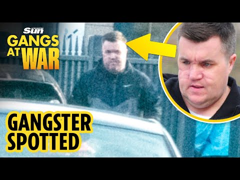 Gangster Steven ‘Bonzo’ Daniel spotted for first time since Ross ‘Miami’ McGill's firebomb campaign