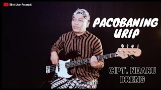Download lagu PACOBANING URIP - Cipt NDARU BRENG | COVER BY SIHO LIVE ACOUSTIC mp3