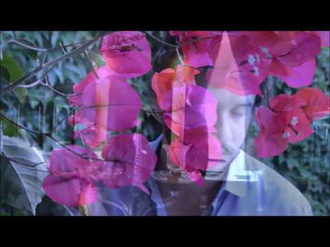 João Paulo Ferreira | Lua Branca  (Chiquinha Gonzaga)