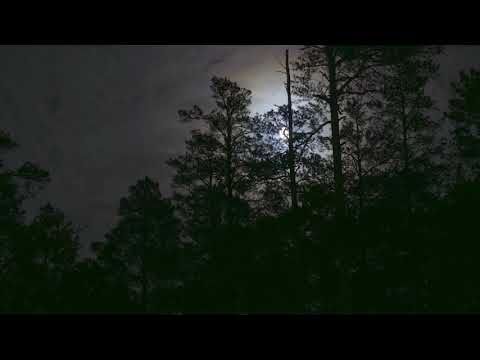 1st Corinthians Chapter 13 - Read by Max McLean