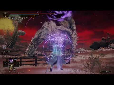 Proof that socery in Elden Ring is perfectly balanced