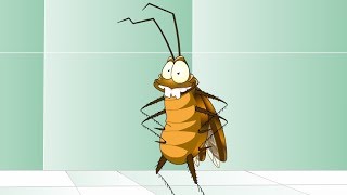 Humortadela  - Piada Animada - Como Matar uma Barata