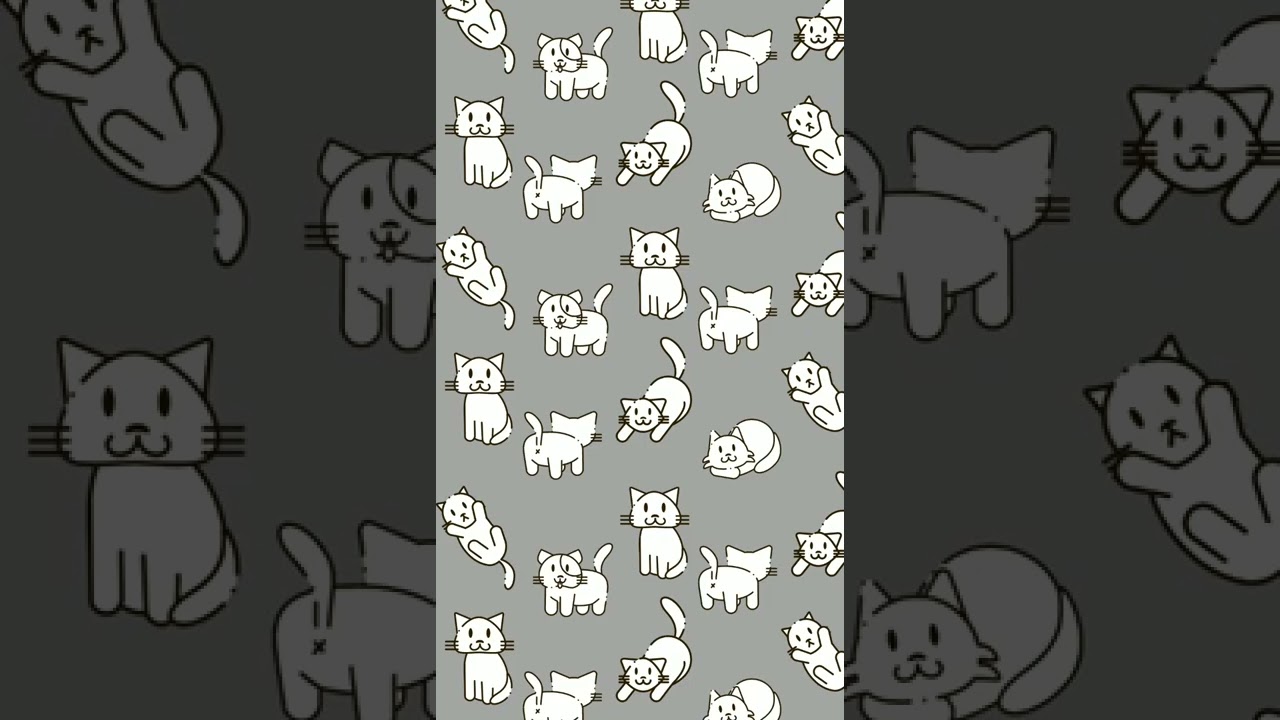 5 papéis de parede para celular de gato!🐈‍⬛🐱