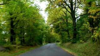 preview picture of video 'Driving in an autumn forest in Denmark - Gram Skov'