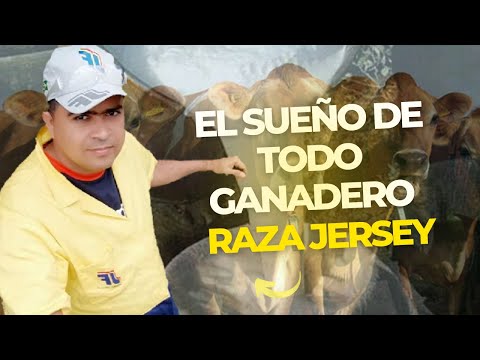 , title : '🚨 GANADO JERSEY: Proyecto de Lechería  con vacas jersey'
