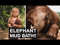 ELEPHANT MUD BATH INCREDIBLE Elephant Sanctuary Chiang Mai Thailand 2019