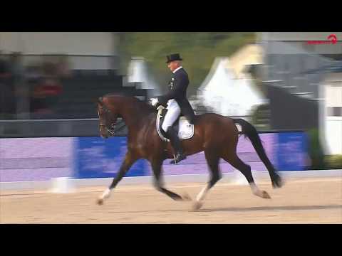 Estobar NRW Hengstvideo 2016