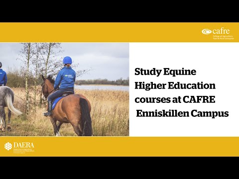 Equine Degree courses