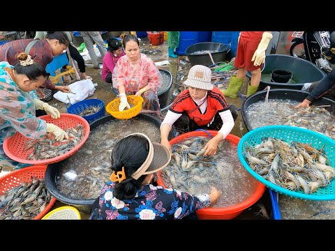 Amazing Wholesale Site Distributes Fresh Fish, Lobsters, Seafood, Crabs & More - Fish Market