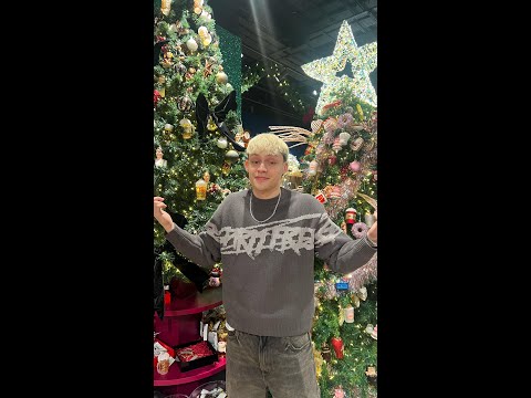 Almacor - Santa Nunca Se Equivoca (Visualizer)