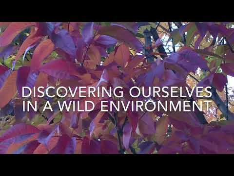 Introducing the Rocky Mountain Ecodharma Retreat Center