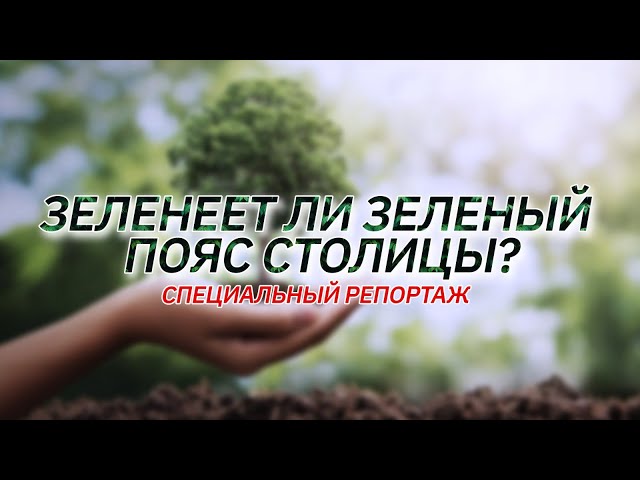 Зеленеет ли Зеленый пояс столицы?