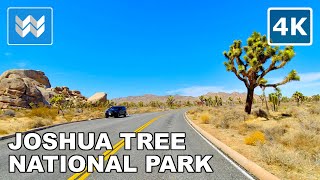 [4K] Joshua Tree National Park in California USA - Scenic Virtual Driving Tour