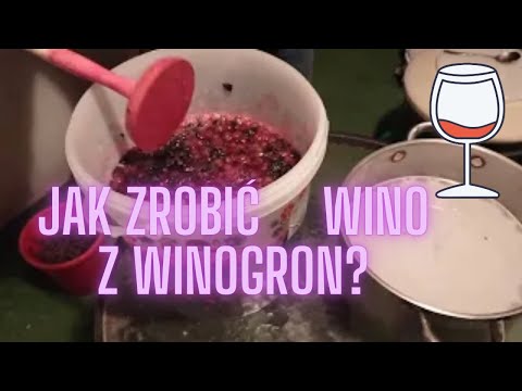 , title : 'Jak zrobić 🍷 wino z winogron?'