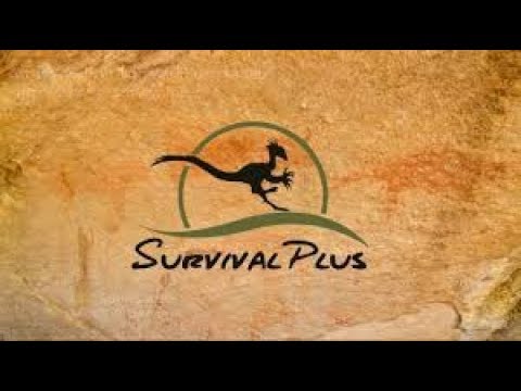 Survival Plus E7 Attempting to tame an Equus