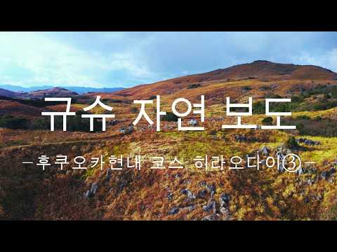 규슈 자연보도 후쿠오카현 히라오다이 코스③