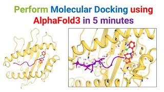 How to perform Molecular Docking in 5 Minutes with AlphaFold 3 | Quick & Easy Guide!