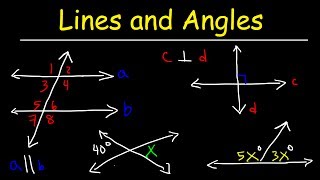 Parallel and Perpendicular Lines, Transversals, Alternate Interior Angles, Alternate Exterior Angles
