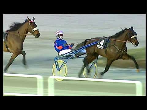 Trotto 22/01/2021 - 7ª corsa