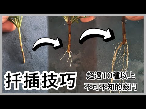 扦注音