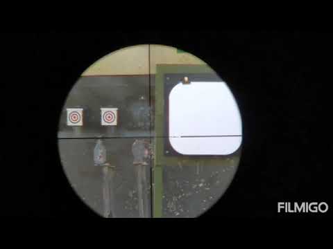 AIRGUN/Walther Rotex RM8 Varmint.