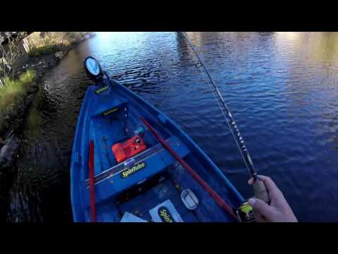 Pottu kalastaa vol 25- spintubella ja jigillä haukea