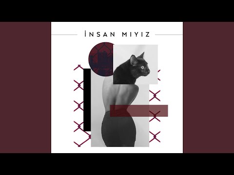 Kedi Kuyruğu