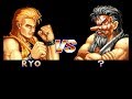 Art Of Fighting Ryo Vs Mr Karate