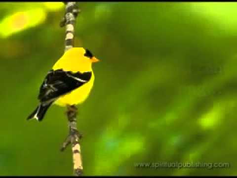 Inspirational Video  Power of One (MATRIX)