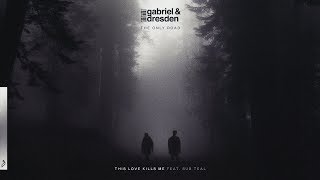 Gabriel & Dresden feat. Sub Teal - This Love Kills Me