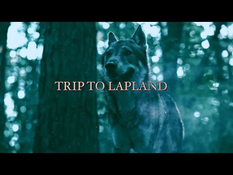Dr. Peacock & Billx - Trip to Lapland
