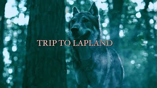 Download lagu Dr. Peacock & Billx - Trip to Lapland mp3 Download lagu Dr. Peacock & Billx - Trip to Lapland mp3