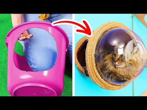 CUTE DIY CAT HOUSE || Heart-Warming Pet Crafts, Gadgets And Hacks For Loved Ones