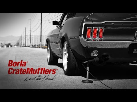 Borla CrateMuffler® — Lead the Heard! - Ford Coyote 5.0L [Exhaust System Sounds]