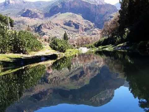 Cheikh Sedik et Cheba Djamila - Notlob Rabbi